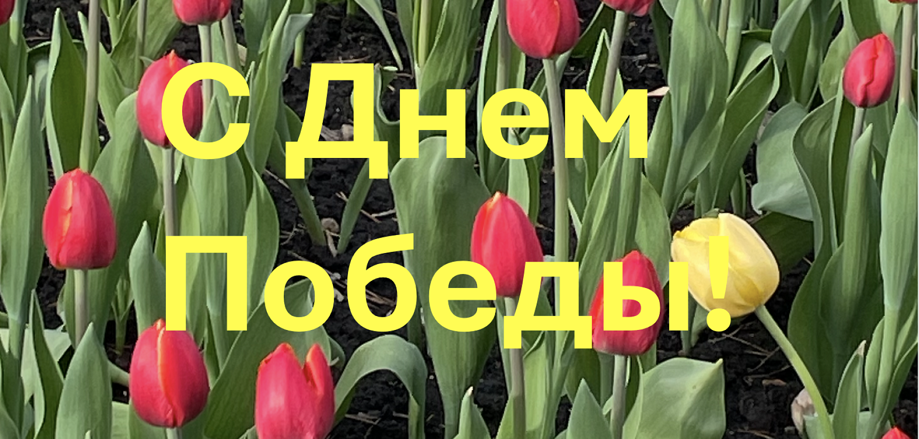 С днем Победы!